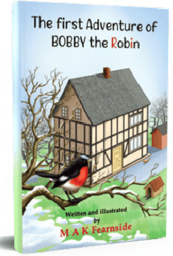 The Adventures of Bobby the Robin